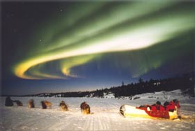 kids-aurora-viewing-by-dog-sled